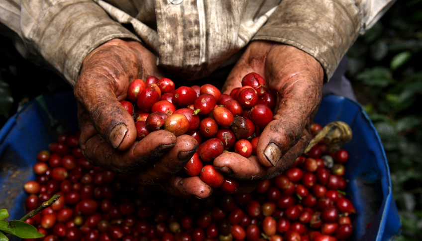 bc20ee0e87b18cbfe71303719e126ee4